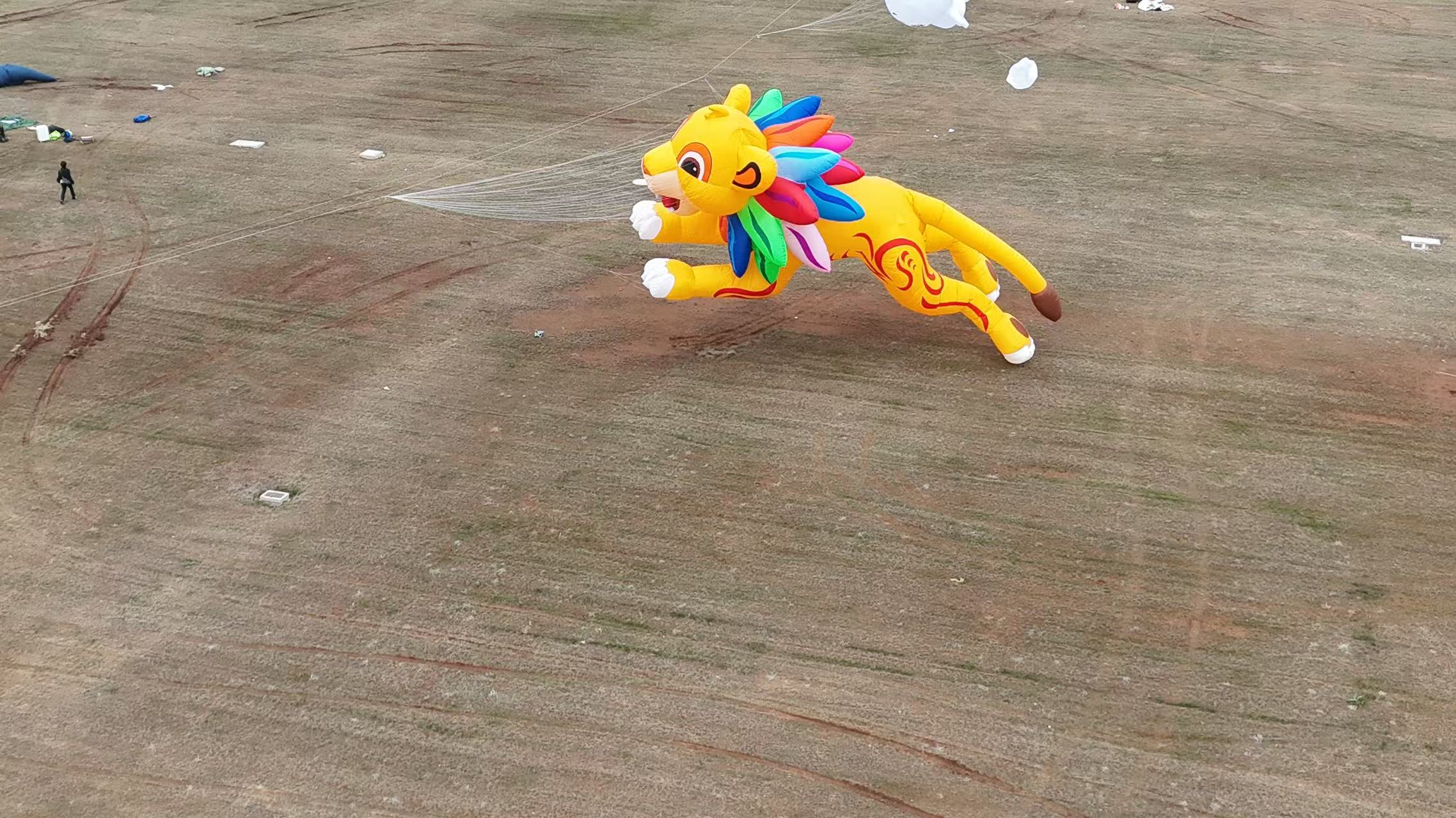 大同市品牌风筝定制软体风筝定制 - 推荐