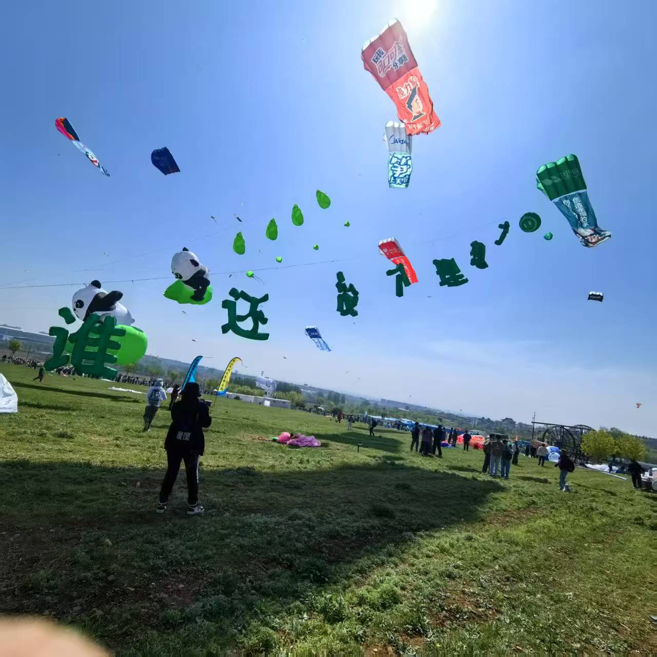 大同市儿童风筝定制风筝定制 - 哪里好